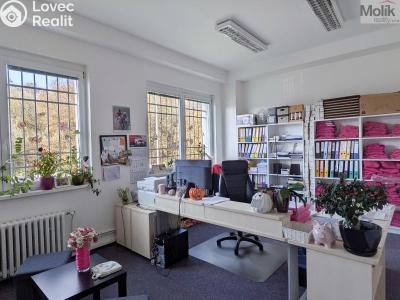 Rent office space Teplice, Novosedlická 2888 č. 4