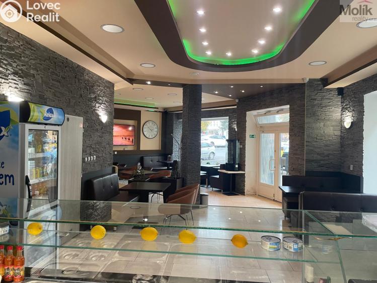 Rent restaurant Teplice, Benešovo náměstí 785/16 č. 14