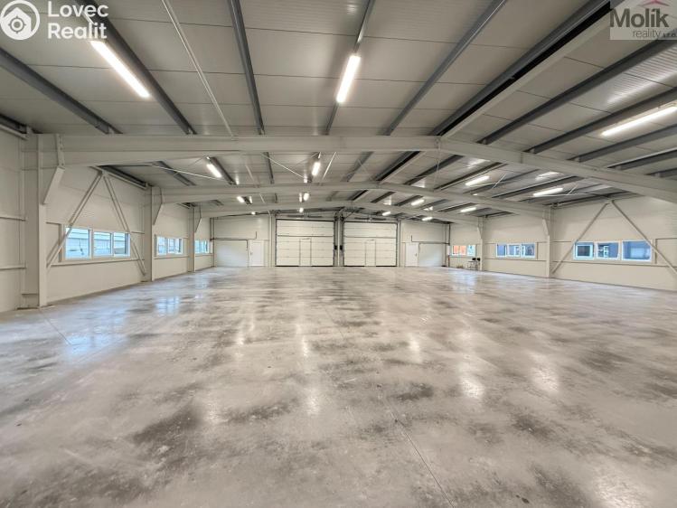 Rent warehouse Košťany, Kamenný Pahorek č. 4