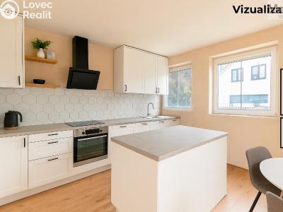 Sale family house Teplice, Slovenská č. 3