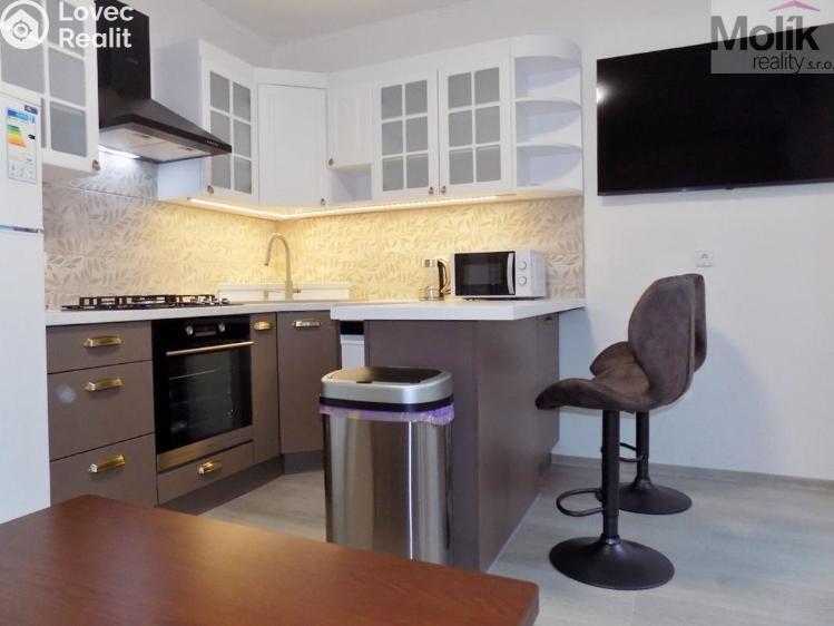 Rent apartment 2+1 Teplice, U Hadích lázní č. 1