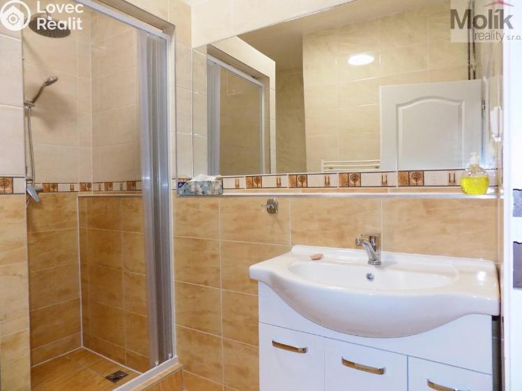 Rent apartment 2+1 Teplice, U Hadích lázní č. 5