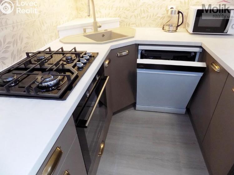 Rent apartment 2+1 Teplice, U Hadích lázní č. 7