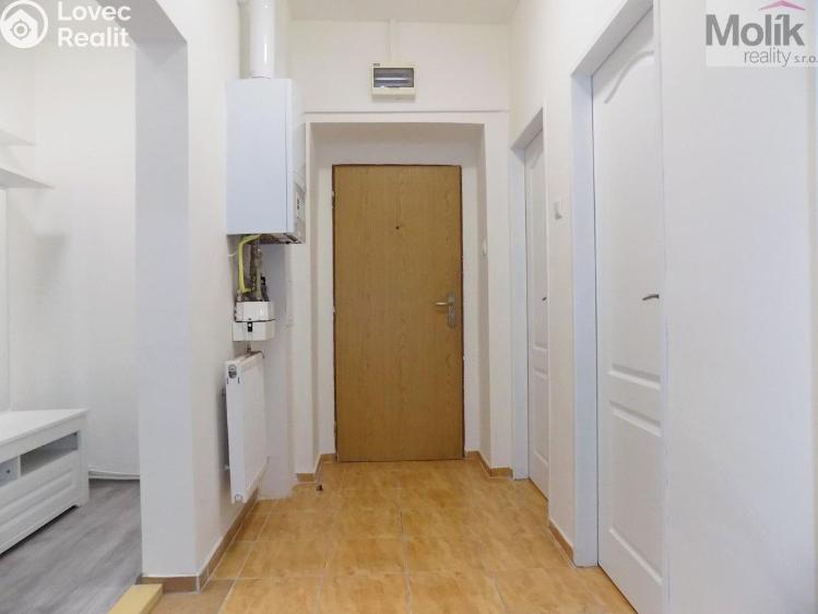 Rent apartment 2+1 Teplice, U Hadích lázní č. 8