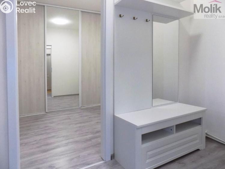 Rent apartment 2+1 Teplice, U Hadích lázní č. 9