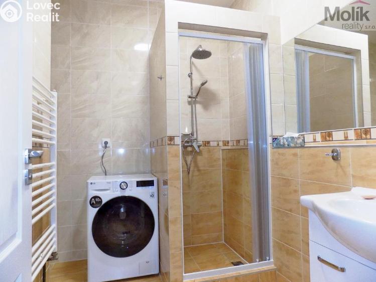 Rent apartment 2+1 Teplice, U Hadích lázní č. 10