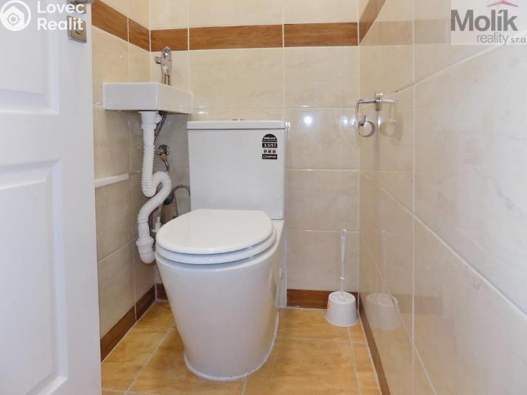 Rent apartment 2+1 Teplice, U Hadích lázní č. 11
