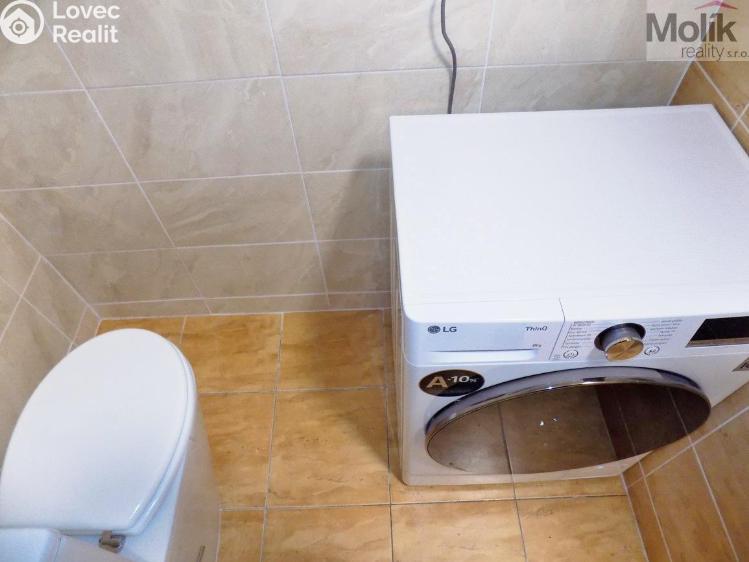 Rent apartment 2+1 Teplice, U Hadích lázní č. 12