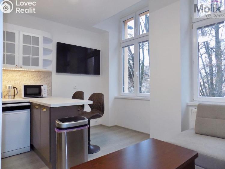 Rent apartment 2+1 Teplice, U Hadích lázní č. 13