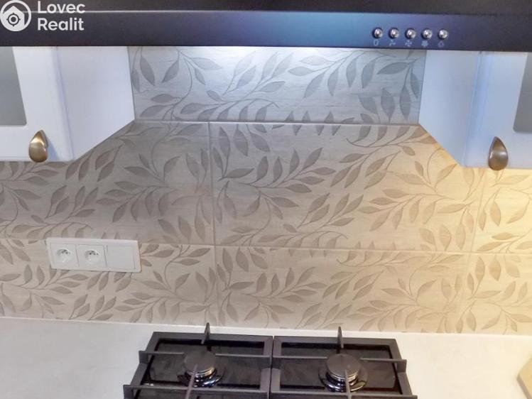 Rent apartment 2+1 Teplice, U Hadích lázní č. 15