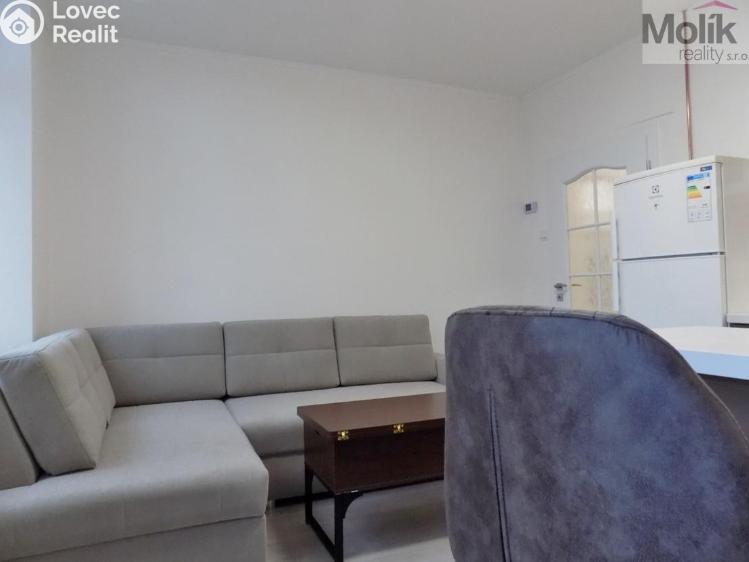 Rent apartment 2+1 Teplice, U Hadích lázní č. 17