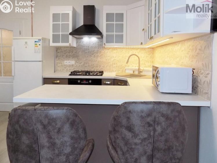 Rent apartment 2+1 Teplice, U Hadích lázní č. 18