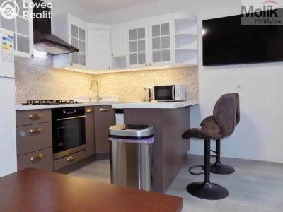 Rent apartment 2+1 Teplice, U Hadích lázní č. 1