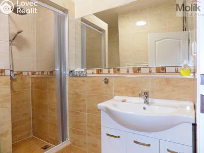 Rent apartment 2+1 Teplice, U Hadích lázní č. 5