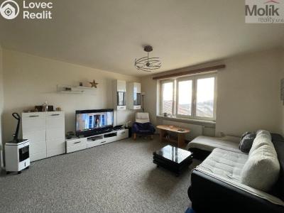 Rent apartment 2+1 Meziboří, Hornická č. 4