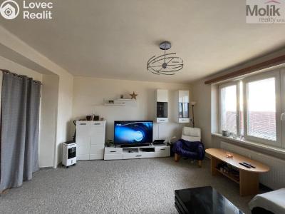 Аренда квартиры 2+1 Meziboří, Hornická č. 6