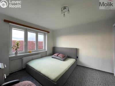 Аренда квартиры 2+1 Meziboří, Hornická č. 7