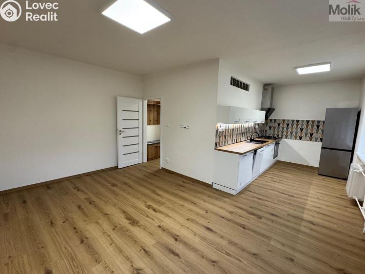 Rent apartment 2+1 Most, Čs. mládeže č. 1