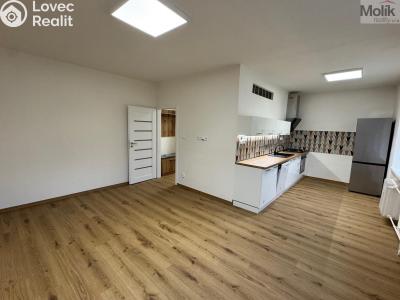 Rent apartment 2+1 Most, Čs. mládeže č. 1