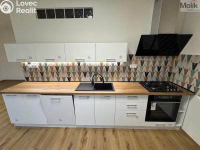 Rent apartment 2+1 Most, Čs. mládeže č. 3