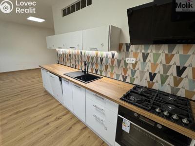 Rent apartment 2+1 Most, Čs. mládeže č. 4