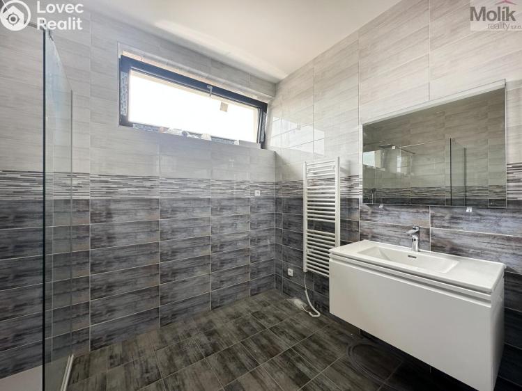 Rent family house Dubí, Zahradní 646 č. 7