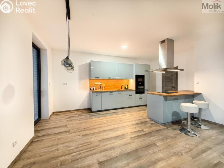 Rent family house Dubí, Zahradní 646 č. 9