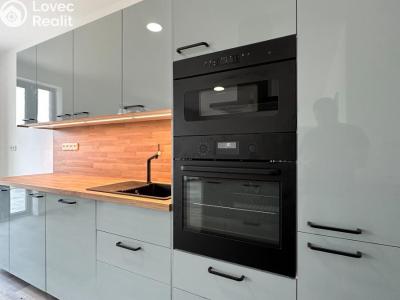 Аренда семейного дома Dubí, Zahradní 646 č. 2