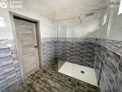 Аренда семейного дома Dubí, Zahradní 646 č. 8