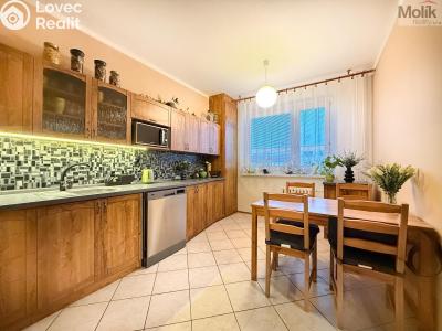 Prodej bytu 3+1 Teplice, Scheinerova č. 4