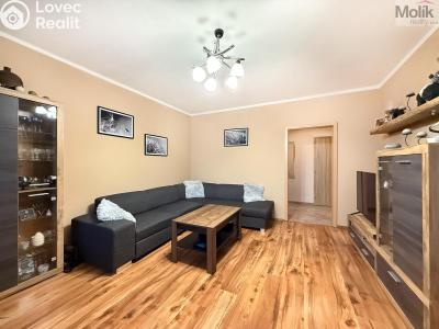 Prodej bytu 3+1 Teplice, Scheinerova č. 6