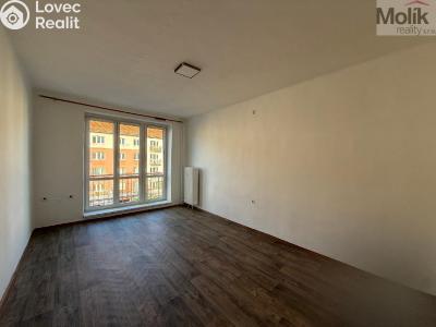 Rent apartment 2+1 Most, Vítězslava Nezvala č. 5