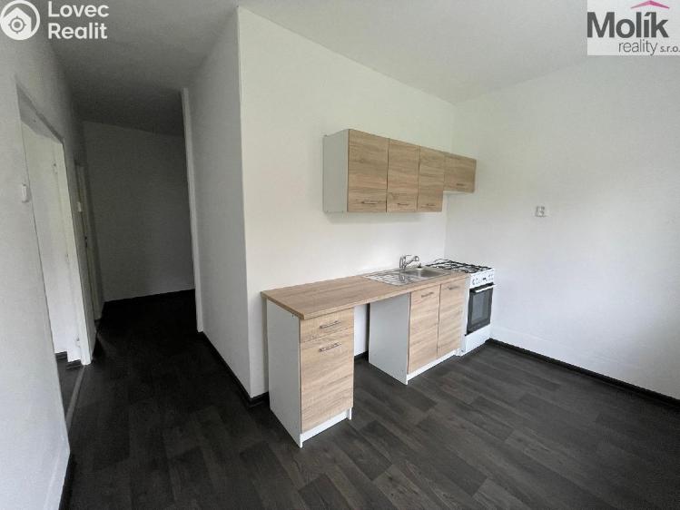 Rent apartment 2+1 Litvínov, Podkrušnohorská č. 2