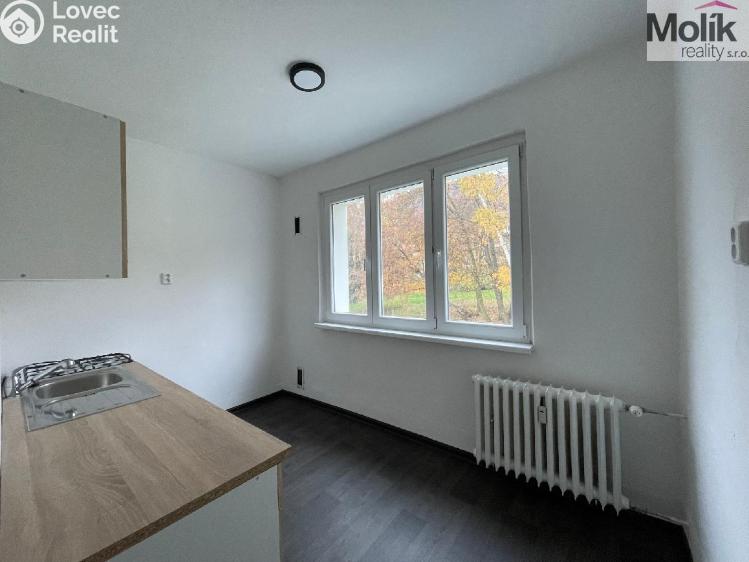 Rent apartment 2+1 Litvínov, Podkrušnohorská č. 3