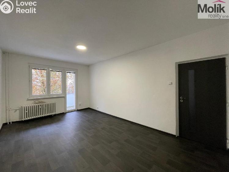 Rent apartment 2+1 Litvínov, Podkrušnohorská č. 4