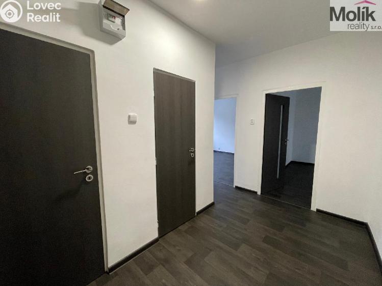 Rent apartment 2+1 Litvínov, Podkrušnohorská č. 6