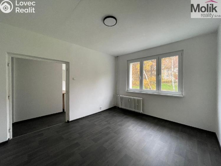 Rent apartment 2+1 Litvínov, Podkrušnohorská č. 8