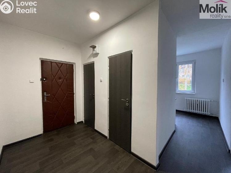 Rent apartment 2+1 Litvínov, Podkrušnohorská č. 10