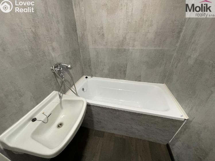 Rent apartment 2+1 Litvínov, Podkrušnohorská č. 11