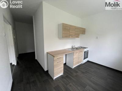 Rent apartment 2+1 Litvínov, Podkrušnohorská č. 2