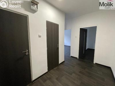Rent apartment 2+1 Litvínov, Podkrušnohorská č. 6