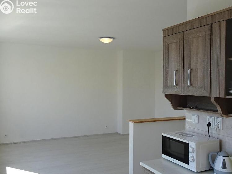 Rent apartment 2+KK Most, M. G. Dobnera 2559/1 č. 6