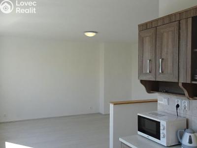 Rent apartment 2+KK Most, M. G. Dobnera č. 6