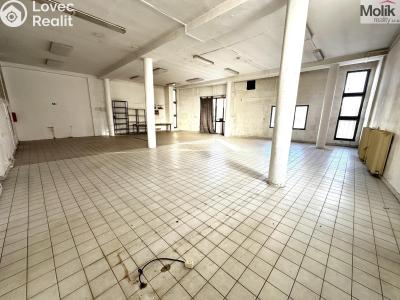 Rent commercial space Příbram, Bož. Němcové č. 4