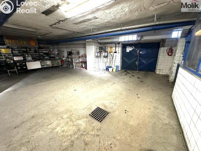 Rent warehouse Příbram, Bož. Němcové č. 6