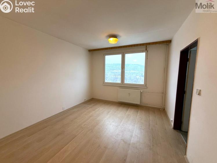 Rent apartment 1+1 Chlumec, Klidná č. 4