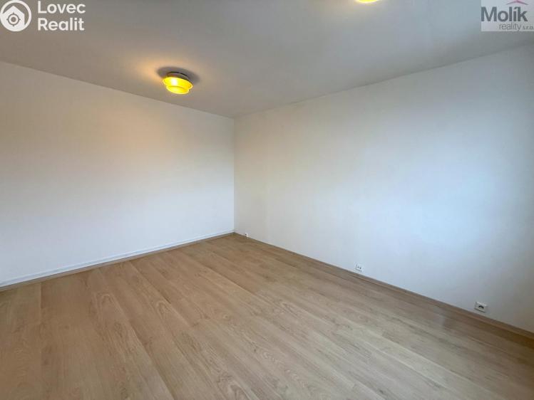 Rent apartment 1+1 Chlumec, Klidná č. 5