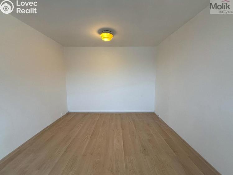 Rent apartment 1+1 Chlumec, Klidná č. 6