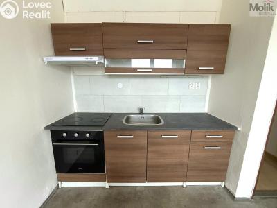 Rent apartment 1+1 Chlumec, Klidná č. 1