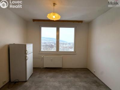 Rent apartment 1+1 Chlumec, Klidná č. 3